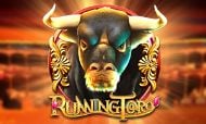 RunningToro