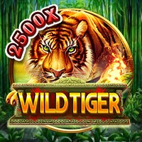 Wild Tiger